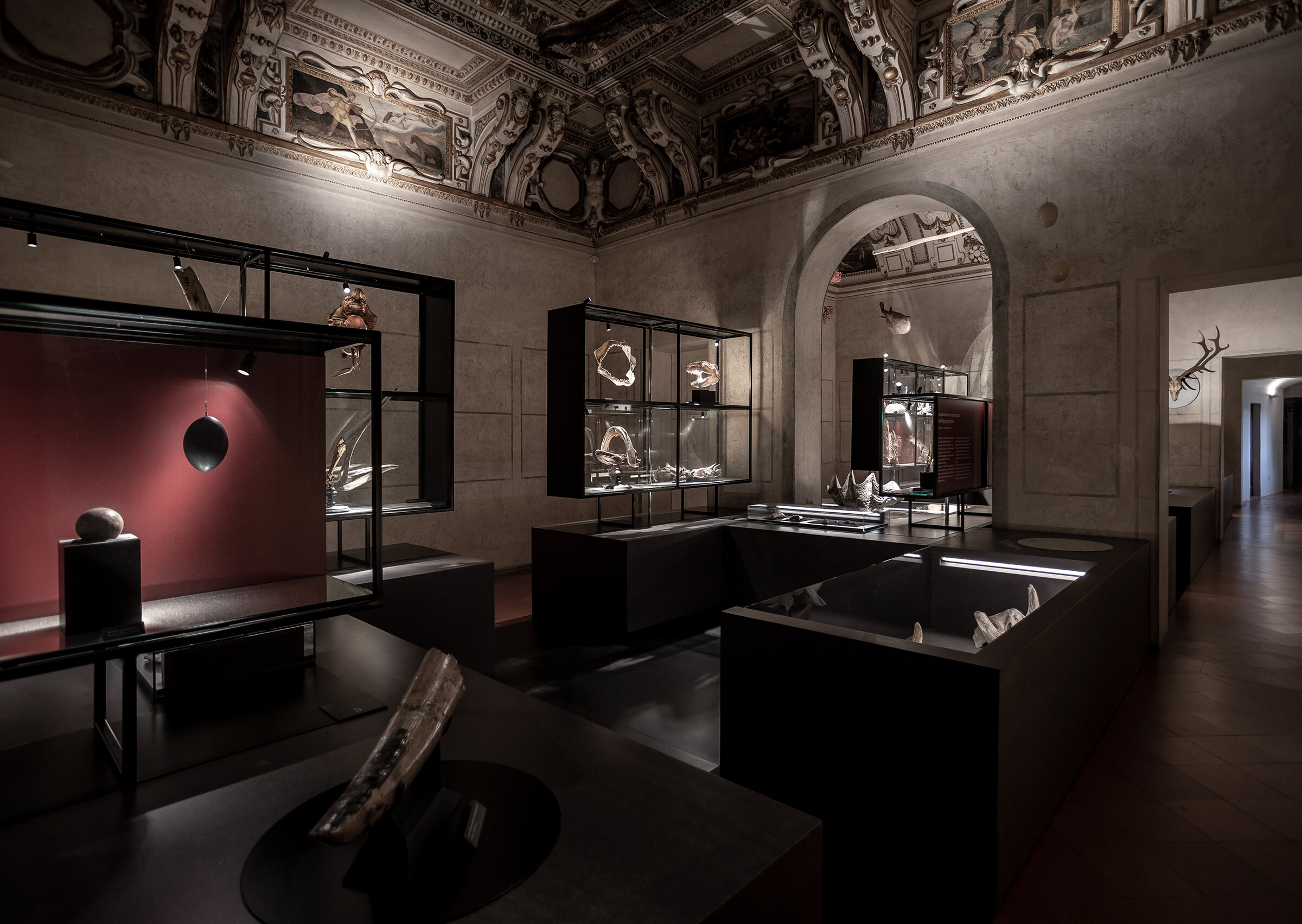 Galleria delle Metamorfosi, Wunderkammer（蜕变艺廊 - 珍奇屋） | © Davide Groppi srl | All Rights Reserved